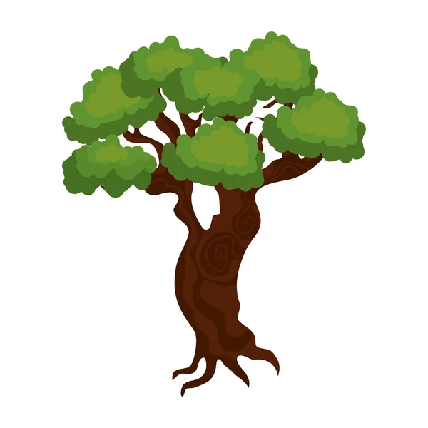 Grande e frondoso albero isolato icona di design — Vettoriale Stock