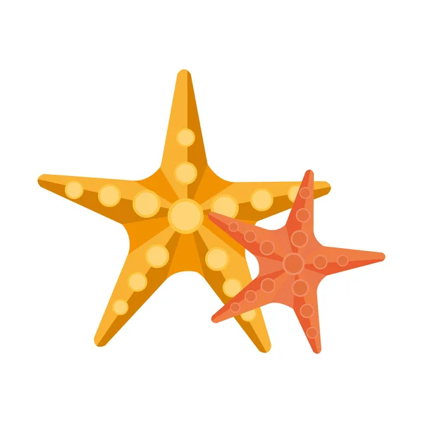 Yellow and orange starfish,vector graphic — 스톡 벡터