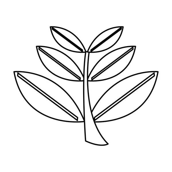 Листья растений изолированный дизайн иконки — стоковый вектор