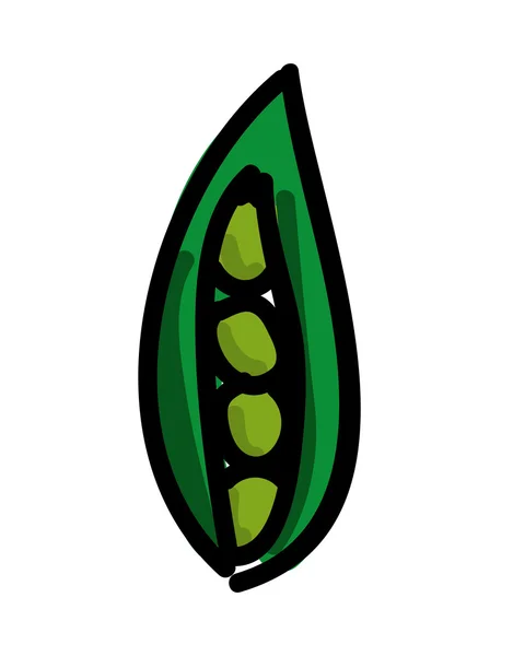 Kacang segar desain ikon yang terisolasi - Stok Vektor