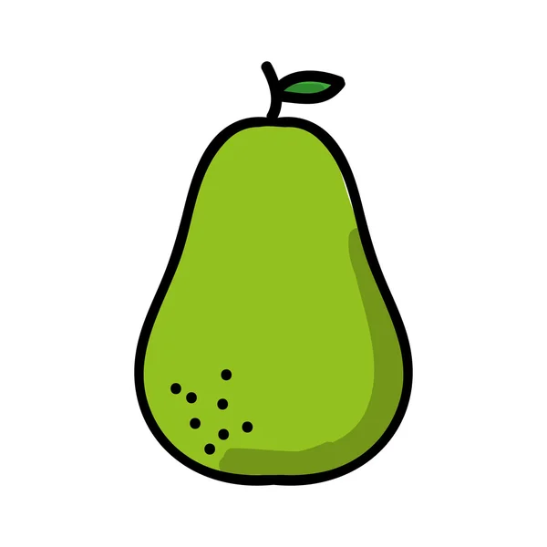 Avocat frais isolé icône design — Image vectorielle