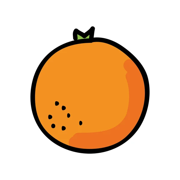 Naranja fresco aislado icono de diseño — Vector de stock