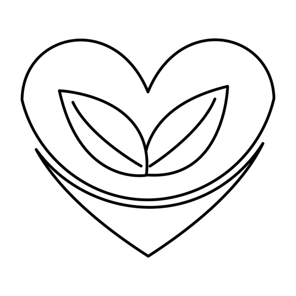 Corazón con hojas diseño icono aislado — Vector de stock