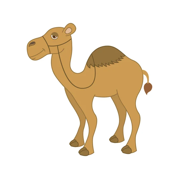 Camel desierto aislado icono de diseño — Archivo Imágenes Vectoriales