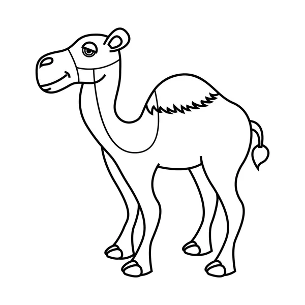 Camel desierto aislado icono de diseño — Vector de stock