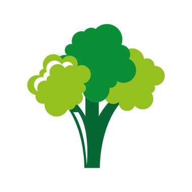 taze brokoli izole simgesi