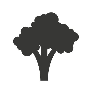 taze brokoli izole simgesi