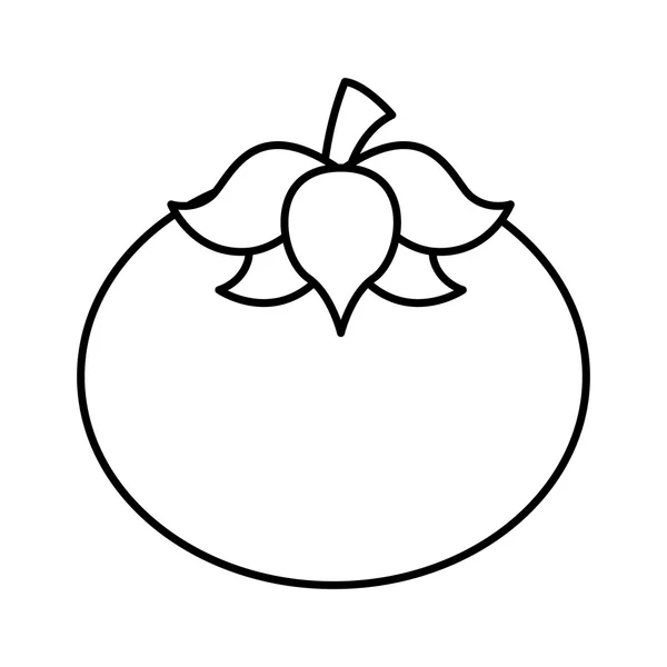 Conception icône isolée tomate fraîche — Image vectorielle