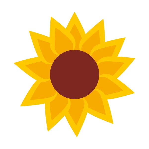 Disegno icona isolata girasole — Vettoriale Stock