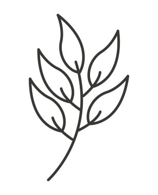 doğa yaprak izole simgesi
