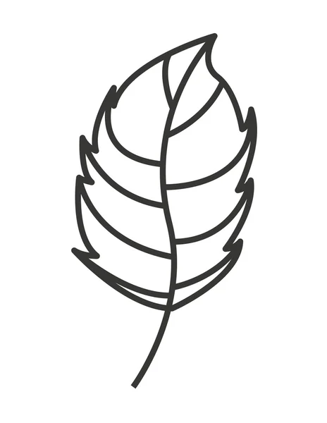 자연 잎 격리 아이콘 디자인 — 스톡 벡터