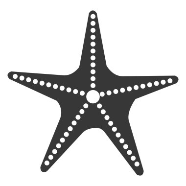 izole plaj deniz yıldızı, vektör grafiği
