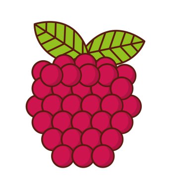 Lezzetli meyve çilek