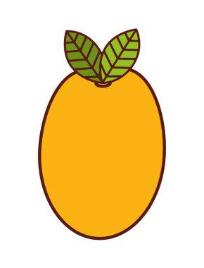 lezzetli meyve mango 