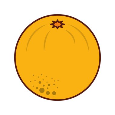 lezzetli meyve portakal 