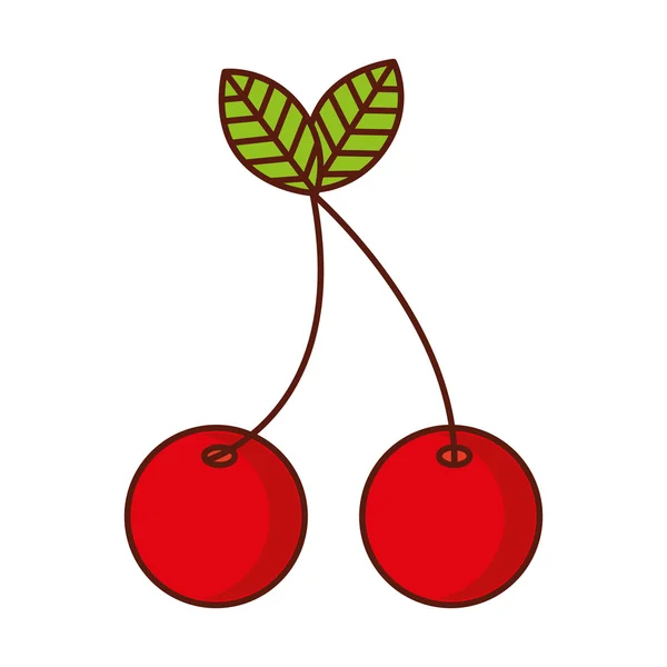 Läcker frukt cherry — Stock vektor