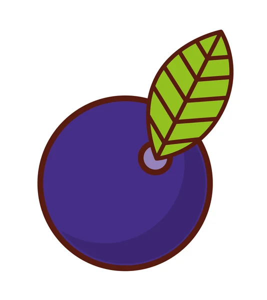Deliziosa ciliegia — Vettoriale Stock