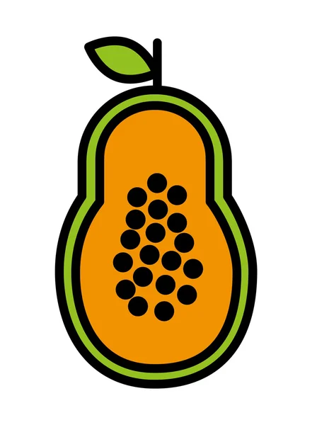 Fesh fruta papaya aislado icono de diseño — Archivo Imágenes Vectoriales