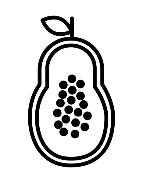 Fesh fruta papaya aislado icono de diseño — Archivo Imágenes Vectoriales