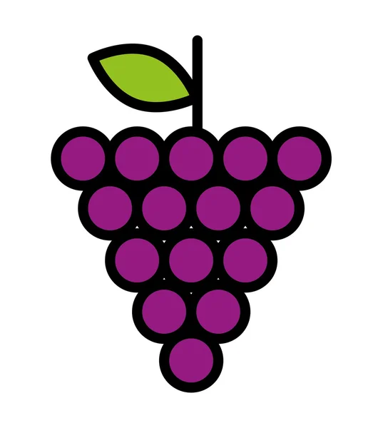 Fresh fruit grapes isolated icon design — Stock Vector