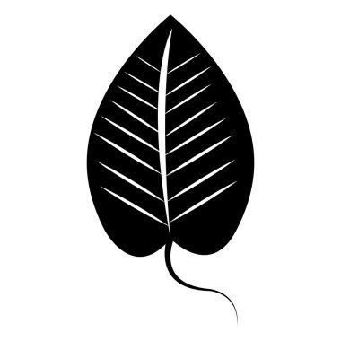 Siyah ve beyaz yaprak simgesi tasarım, ekoloji Tema.