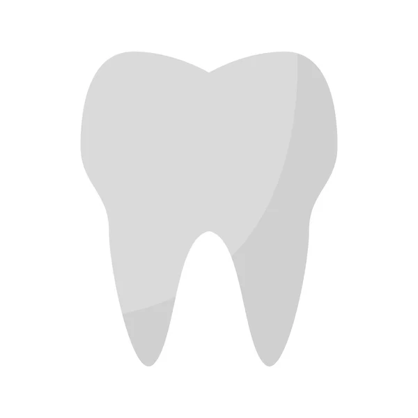 Дизайн иконки белого зуба — стоковый вектор