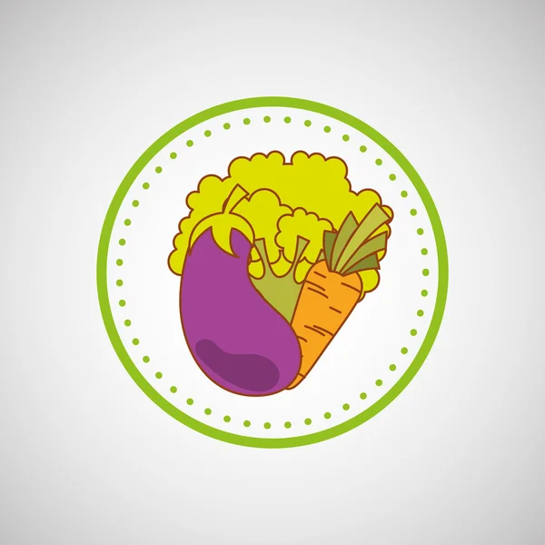 Alimentos saludables producto ecológico aislado icono de diseño — Archivo Imágenes Vectoriales