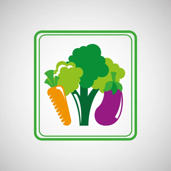 Alimentos saludables producto ecológico aislado icono de diseño — Archivo Imágenes Vectoriales