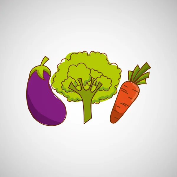 Alimentos saludables producto ecológico aislado icono de diseño — Vector de stock