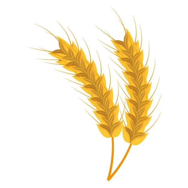 小麦 harverst 彩色的图标上白色孤立 — 图库矢量图片