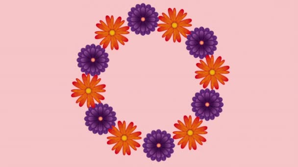 Florale decoratie ontwerp — Stockvideo