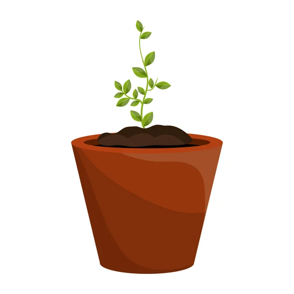 Pflanze mit wachsenden Blättern. — Stockvektor