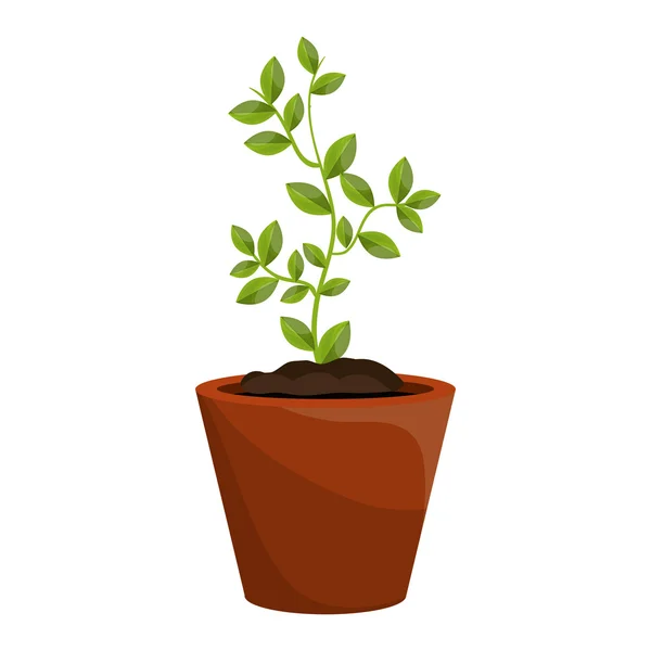 Plant with leaves growing graphic. — Stock Vector