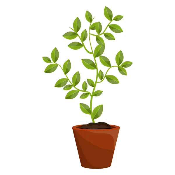 Pflanze mit wachsenden Blättern. — Stockvektor