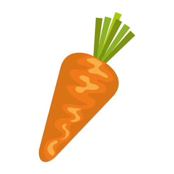 Plantaardige gezonde voeding pictogram, vectorillustratie. — Stockvector