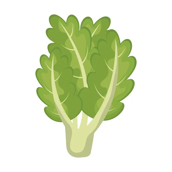 Icona vegetale fresca e deliziosa . — Vettoriale Stock