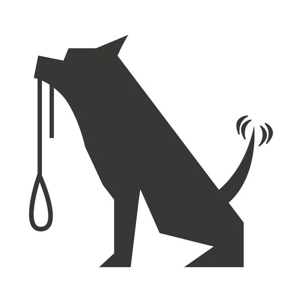 Bonito cão com colar isolado ícone design — Vetor de Stock