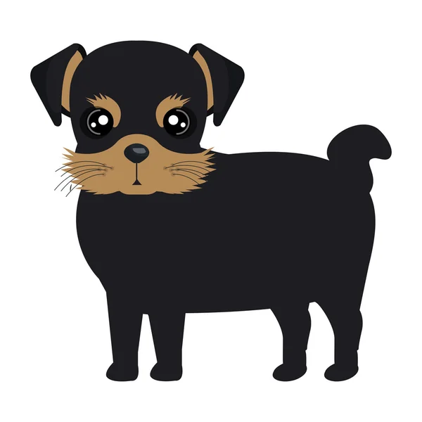 Diseño gráfico de dibujos animados para perros y mascotas — Vector de stock