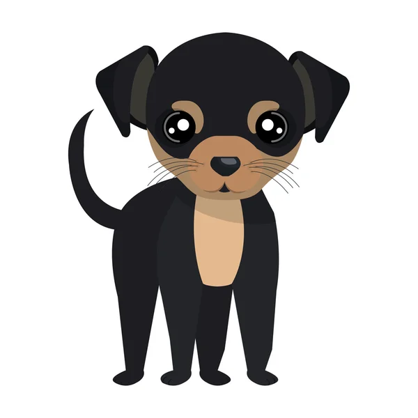 Hund och husdjur cartoon grafisk design — Stock vektor