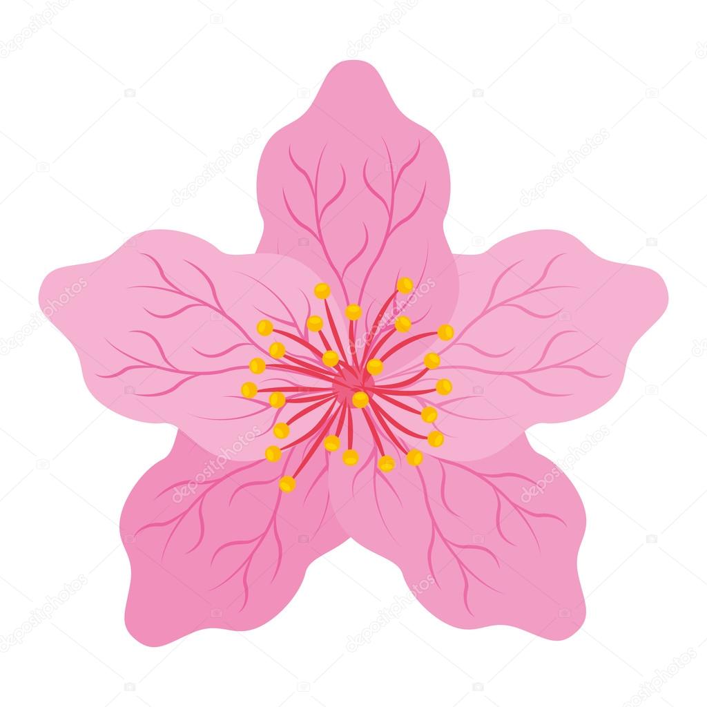 Japanese Flower Isolated Icon Design Vector Image By C Yupiramos Vector Stock 115999058 https depositphotos com 115999058 stock illustration japanese flower isolated icon design html