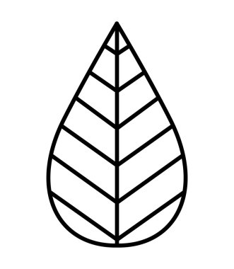 İzole simgesi tasarım nane yaprakları