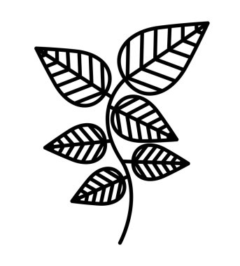 İzole simgesi tasarım nane yaprakları