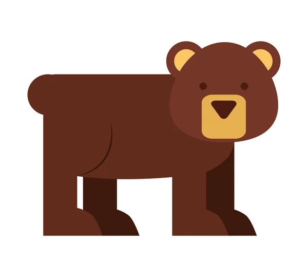 Carino orso isolato icona di design — Vettoriale Stock