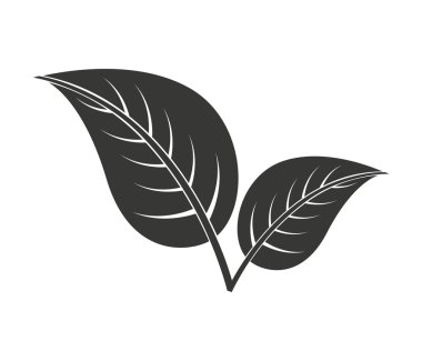 izole bitki simgesi tasarım yapraklar