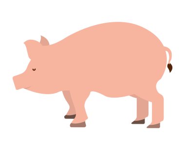 Domuz çiftliği izole simgesi