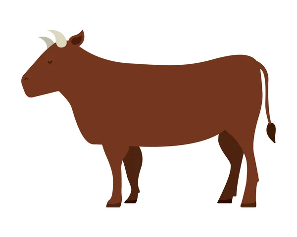 牛の分離アイコン デザイン — ストックベクタ