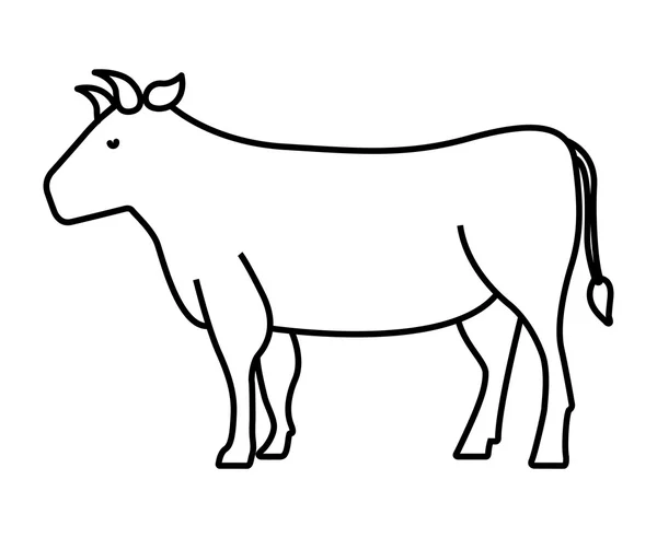 Корова ізольований дизайн значка — стоковий вектор