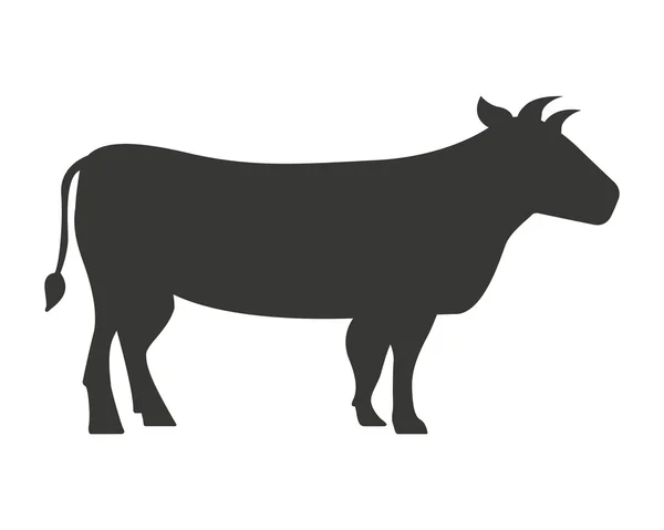 Conception icône isolée vache — Image vectorielle