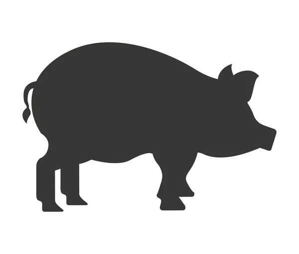 Ferme porcine icône isolée design — Image vectorielle