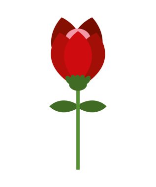 güzel çiçek simgesi tasarım izole